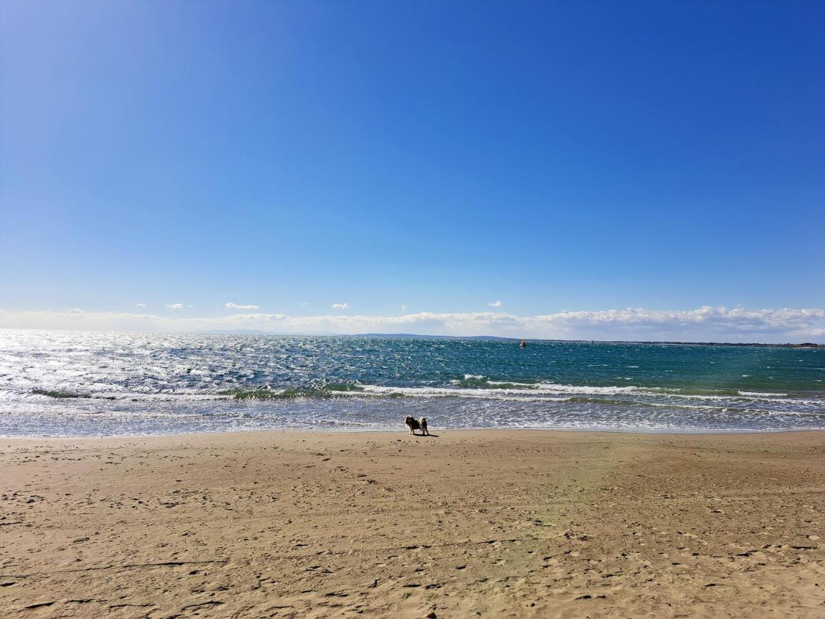 32M² Terrasse Plage Cap D'Agde Διαμέρισμα Εξωτερικό φωτογραφία